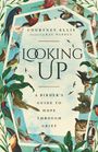 Courtney Ellis: Looking Up, Buch