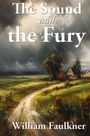 William Faulkner: The Sound and the Fury, Buch