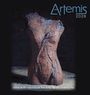 "Artemis 2026", eine skulpturale Torso-Darstellung, mit blauen Zweig-ähnlichen Linien; dunkelblauer Hintergrund.