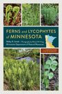 Welby R. Smith: Ferns and Lycophytes of Minnesota: The Complete Guide to Species Identification, Buch