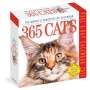 Workman Calendars: 365 Cats Page-A-Day Calendar 2024, KAL
