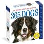 : 365 Dogs Page-A-Day® Calendar 2025, KAL