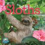 Lucy Cooke: Original Sloths Wall Calendar 2025, KAL