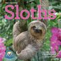 Lucy Cooke: Original Sloths Mini Wall Calendar 2025, KAL