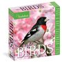 Workman Calendars: Audubon Birds Page-A-Day(r) Calendar 2026, KAL
