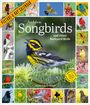 Workman Calendars: Audubon Songbirds and Other Backyard Birds Picture-A-Day(r) Wall Calendar 2026, KAL