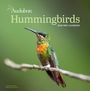 Workman Calendars: Audubon Hummingbirds Mini Wall Calendar 2026, KAL