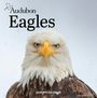 Workman Calendars: Audubon Eagles Mini Wall Calendar 2026, KAL