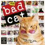 Workman Calendars: Bad Cat Wall Calendar 2026, KAL