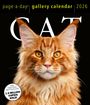 : Cat Page-A-Day® Gallery Calendar 2026, KAL