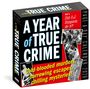 Workman Calendars: Year of True Crime Page-A-Day(r) Calendar 2026, KAL