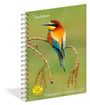 "Audubon" und "Engagement Calendar 2027", bunter Vogel auf Ast, Spiralkalender, gelbes Siegel: Bestseller-Hinweis.