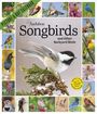 "Audubon Songbirds and Other Backyard Birds." Zeigt viele bunte Singvögel, zentral ein schwarz-weiß gefiederter Vogel.