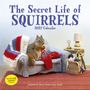 "The Secret Life of Squirrels 2027 Calendar." Eichhörnchen auf Sofa strickt, daneben Garnkorb, Lampe und kleiner Tischuhr.
