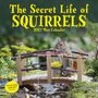 „The Secret Life of Squirrels, 2027 Mini Calendar.“ Ein Eichhörnchen auf einer kleinen Brücke mit gelbem Eimer.