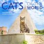 "Cats of the World 2027 Calendar" von Hannah Shaw und Andrew Marttila. Eine Katze vor einer Pyramide im Freien.