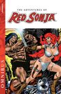 Bruce Jones: Adventures of Red Sonja Omnibus HC, Buch