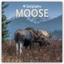 Oben steht "CANADIAN Geographic MOOSE 2027". Ein Elch steht in einem Feld vor schneebedeckten Bergen.
