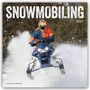 "SNOWMOBILING 2027", unten: "PHOTOGRAPHY BY WAYNE DAVIS". Fahrer auf Schneemobil, Schnee spritzt, winterliche Kulisse.