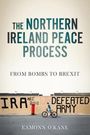 Eamonn O'Kane: The Northern Ireland Peace Process, Buch