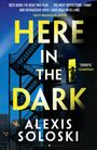 Alexis Soloski: Here in the Dark, Buch