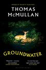 „Winner of the Betty Trask Prize“, „THOMAS McMULLAN“, „GROUNDWATER“. Ein Rehkitz liegt im Wald auf einer Lichtung.
