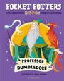 J. K. Rowling: Pocket Potters: Professor Dumbledore, Buch