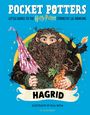 "POCKET POTTERS", "Harry Potter", "HAGRID". Illustration: Hagrid mit Regenschirm, Kürbis und Drache. Farbenfroh und detailreich.