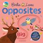 „Birdie Loves Opposites“ steht groß oben, „Big“ und „Small“ daneben. Illustration: Hirsch, Vögel, Blätter.