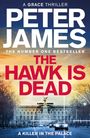 Text im Bild: "A GRACE THRILLER", "PETER JAMES", "THE HAWK IS DEAD", "A KILLER IN THE PALACE". 

Unten ist ein Palast.