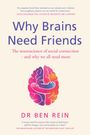 Titel: "Why Brains Need Friends". Untertitel: "The neuroscience of social connection - and why we all need more". Autor: Dr. Ben Rein. Darunter eine farbenfrohe Illustration eines umarmenden Gehirns.