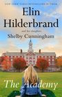 Elin Hilderbrand: The Academy, Buch