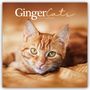 Carousel Calendar: Ginger Cats - Rothaarige Katzen 2025 - Wand-Kalender, KAL