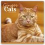 Carousel Calendar: Ginger Cats - Rothaarige Katzen 2026 - Wand-Kalender, KAL