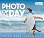 Carousel Calendars: Photo of the Day - Foto des Tages 2026, KAL
