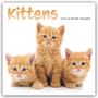 Carousel Calendar: Kittens - Kätzchen - Katzenjunge - Katzenbabys 2026 - Wand-Kalender, KAL