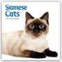 Carousel Calendar: Siamese Cats - Siamesische Katzen - Siamkatzen 2026 - Wand-Kalender, KAL