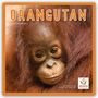 Carousel Calendar: Orangutan - Orang-Utan 2027 - Wand-Kalender, KAL