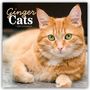 Carousel Calendar: Ginger Cats - Rothaarige Katzen 2027 - Wand-Kalender, KAL