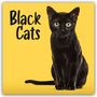 Carousel Calendar: Black Cats - Schwarze Katzen 2027 - Wand-Kalender, KAL