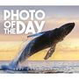 Carousel Calendars: Photo of the Day - Foto des Tages 2027, KAL