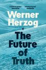 Text: „Werner Herzog. The Future of Truth.“ Hintergrund: Eisschollenlandschaft mit einem kleinen Pinguin in der Ferne.