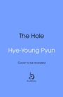 Hye-Young Pyun: The Hole, Buch