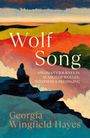 Unterschrift: Wolf Song. Eine Frau sitzt auf einem Felsen und schaut über farbige, abstrakte Landschaften.