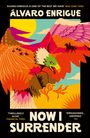 Álvaro Enrigue: Now I Surrender, Buch