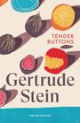 Gertrude Stein: Tender Buttons, Buch