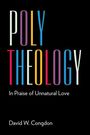 "POLY THEOLOGY" und "In Praise of Unnatural Love". Darunter steht "David W. Congdon". Bunte Buchstaben auf schwarzem Hintergrund.