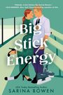 Sarina Bowen: Big Stick Energy, Buch