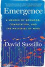 David Sussillo: Emergence, Buch