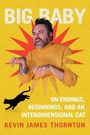 „BIG BABY“ und „ON ENDINGS, BEGINNINGS, AND AN INTERDIMENSIONAL CAT“ von Kevin James Thornton. Ein Mann in gelbem Pullover vor rotem Stern. Eine schwarze Katze ist abgebildet.
